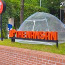 대구 중구 카페 ‘더남산’, 넓지만 편하게 머물 수 없는 공간 후기