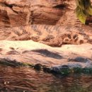 은평 백호 태권도장 이미지