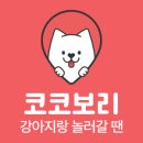 코코모카 이미지