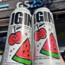 GS25부천애플 | GS25 신상 하이볼 후기 | 아이긴 애플토닉 2종(수박맛, 자두맛)