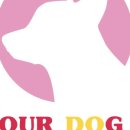 도요케이크 이미지