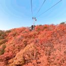 산행지 변경: [232차]10월31일(일) 대구 팔공산 단풍산행 [하늘매] 이미지