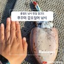 장고도2 | 충남 장고도 쭈꾸미 철 쭈꾸미, 갑오징어 낚시 바지락 캐기