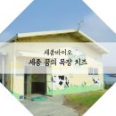 국화치즈영농조합법인