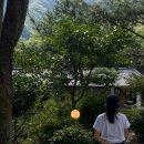 완주 소양 카페소양, 플러스82프로젝트 소양점 방문 후기