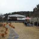 아르티스타 이미지