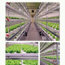 위더스팜 이미지