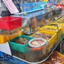 산호초수산 네이버블로그