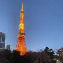 세정타워 앞 횡단보도 | 도쿄타워 포토존 도립시바공원 피크닉 야경까지