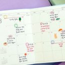 이톨쇼핑 이미지