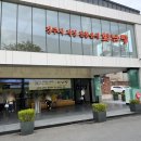 (사)경상북도실라리안협회 | 경주 황남빵 본점 가격 주차 웨이팅 내돈내산 후기