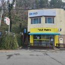 오늘은 특별하개 이미지