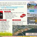 한강시민공원 암사대교 하부 | 구리 유채꽃 축제 2026｜실시간 개화 상태 + 행사 일정 총정리