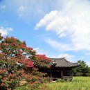 [스크랩] 신라 역사 속으로 (경주 기행)