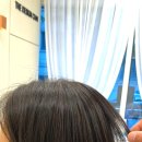 더디자인차이 이미지