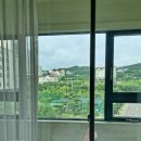송일관 이미지