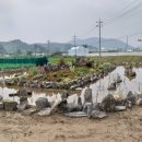 삼우리빙 네이버블로그