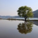 유림가설산업 | 진보는 살아있어야 하지만, 586은 영원히 밀봉해야