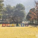 청주한과