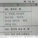 대본 이미지