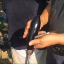 이창희농장 이미지