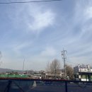 양지-3538 이미지