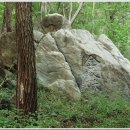 갈맷길(7코스) 이미지