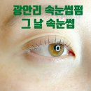 부산 광안리 속눈썹 펌, 연장 잘하는 그 날 속눈썹 U컬 후기