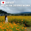 EG투어버스 L코스 | 도쿄 근교 자유여행 후지산 일일 버스투어 오시노핫카이 로손 투어스토리