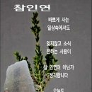 연하 3촌이 차인 이유 이미지