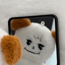 체형관리섬섬옥수