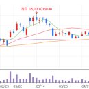 셀프 태양광발전소 이미지