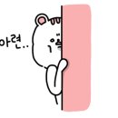 영지네코다리 이미지