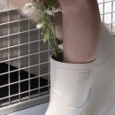 레인스튜디오 네이버블로그