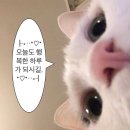 연서메디칼 | 9정모였던것