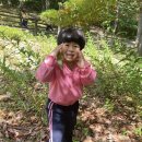 꽃다래공원 이미지