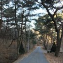 매산농원 이미지