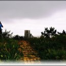 서울교동초등학교 | 민통선 구역 화개산 / 교동도