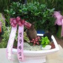 지방공사 충청남도 홍성의료원