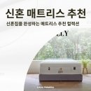 라쁘리메라 이미지