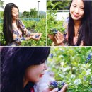 베리팜 펜션 이미지