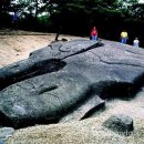 세량2 | [전남 화순 세량지 - 만연산 철쭉공원 - 운주사]