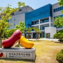 한국보건복지인재원 베이비뉴스