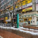 천주교 신정동 성당 이미지