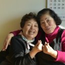 효촌8리 이미지