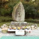 동물들의세상 이미지