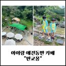 몽 | 아이랑 애견동반 카페 : 판교몽 주말 오픈런 후기