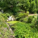 꽃내음 | 강릉 경포대 근처 가족펜션 꽃내음가득 후기 🌿