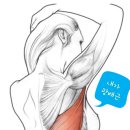 리바디 운동센터 이미지