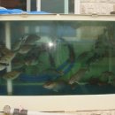 라이프앤투어 이미지